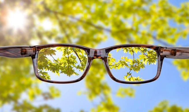 tree looking clearer through glasses