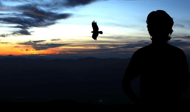 person looking at bird flying at sunset