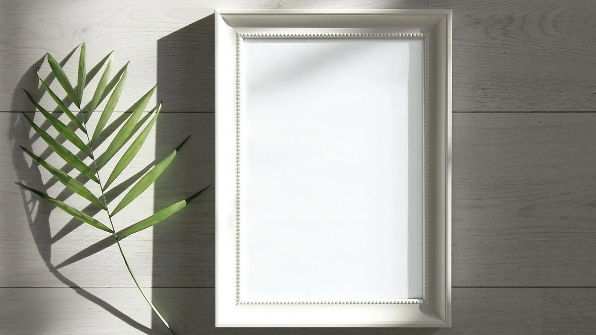 picture frame and leaf on white background with sun shining on it 