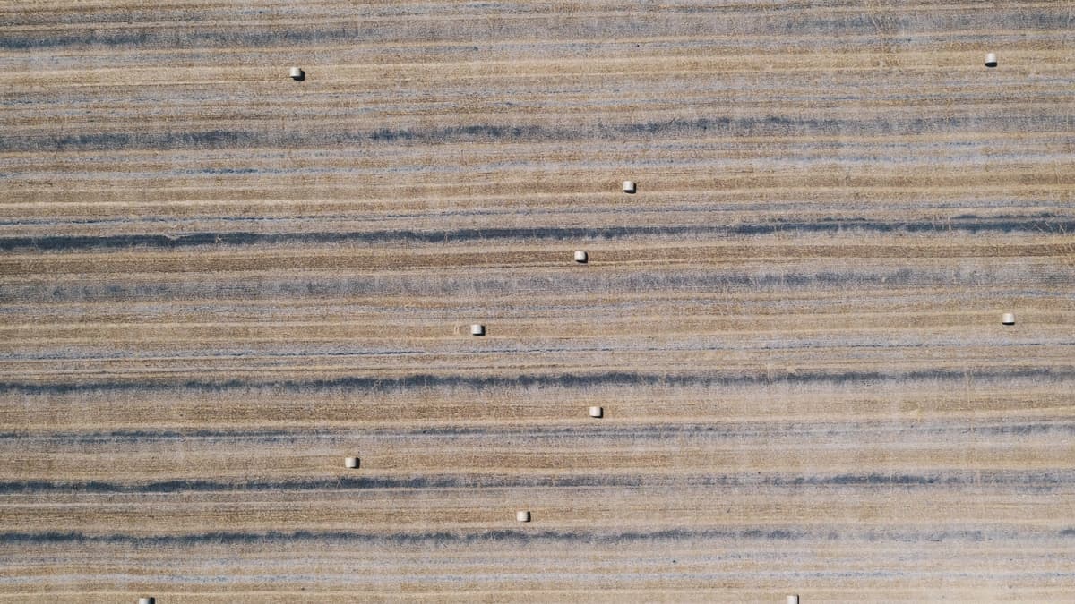 aerial field of hay with bales