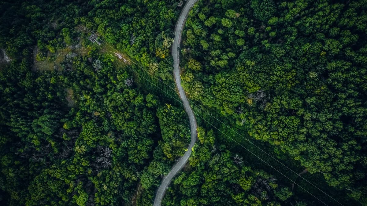 aerial view of a winding road in the forest